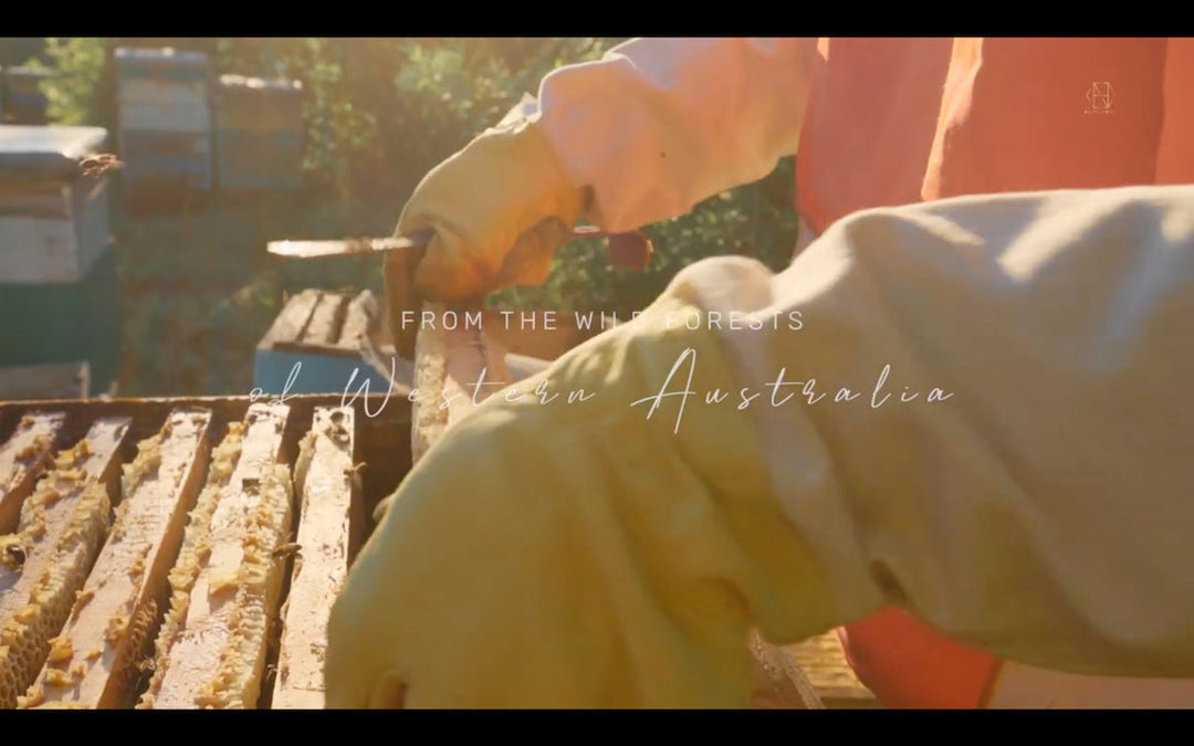 Necta & Hive Rare, exclusive Marri wild comb honey