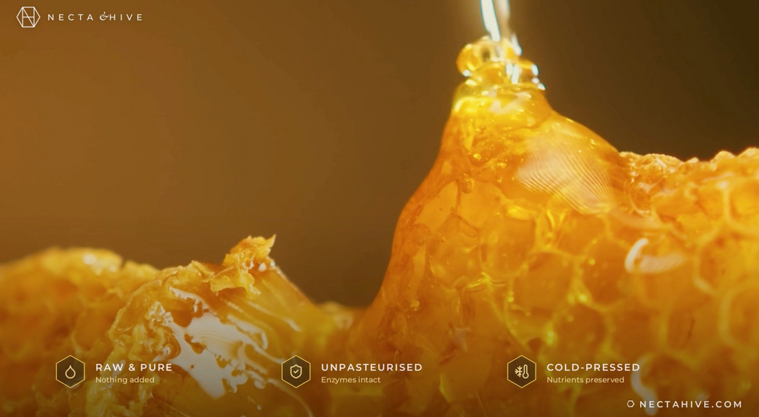 Necta Hive does honey contain the secret to immortality