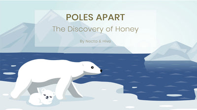 The Discovery of Honey by Necta & Hive