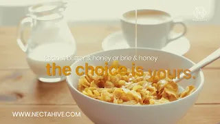 Necta & Hive Healthy Lunch
